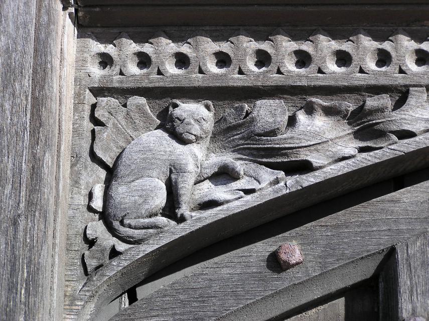 Cat on Manor House door